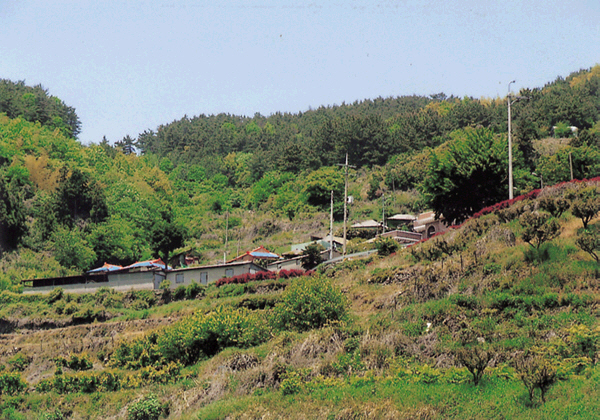 생활풍경(대금산 허리에 있는 정골마을)