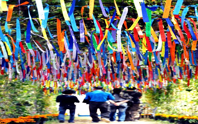 2011 거제섬꽃축제-사진전 입상 이미지
